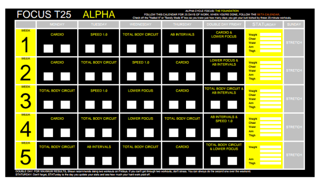 t25 alpha pdf