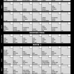 Insanity workout schedule
