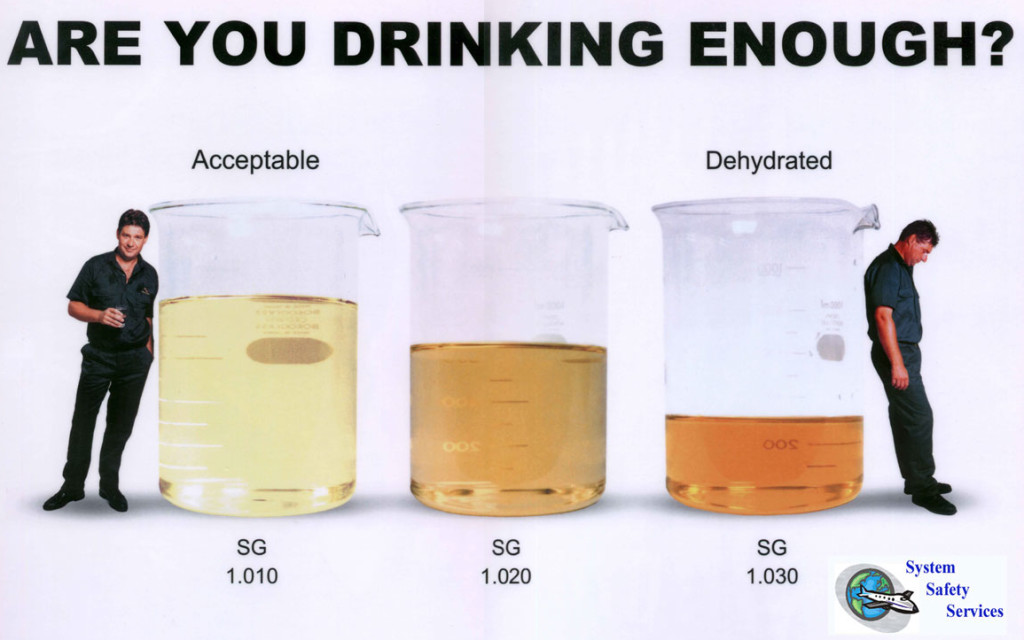 How Much Water Should You Drink a Day